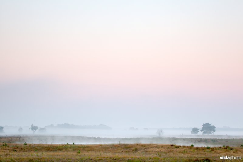 Zonsopgang boven een recente natuurontwikkeling