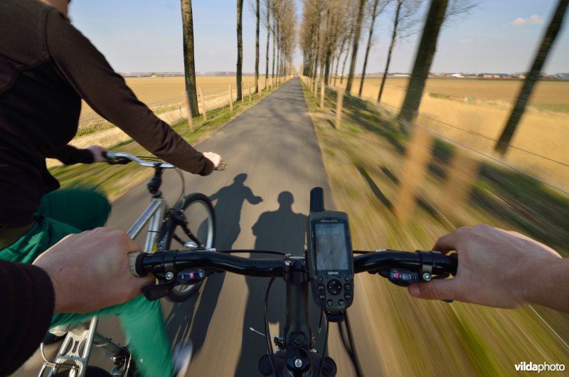 Fietsen op de Koningsdijk
