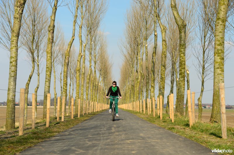 Fietsen op de Koningsdijk