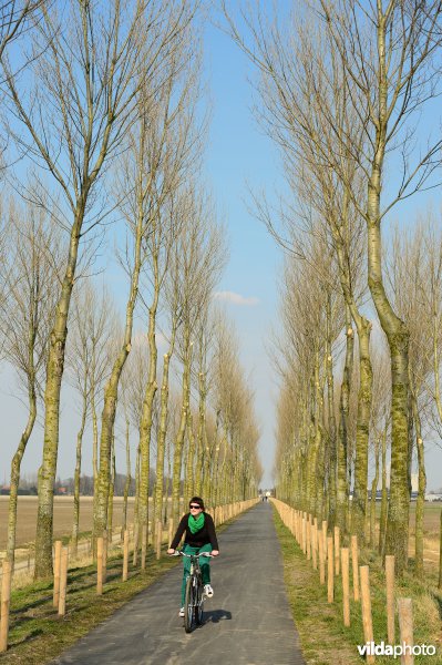 Fietsen op de Koningsdijk