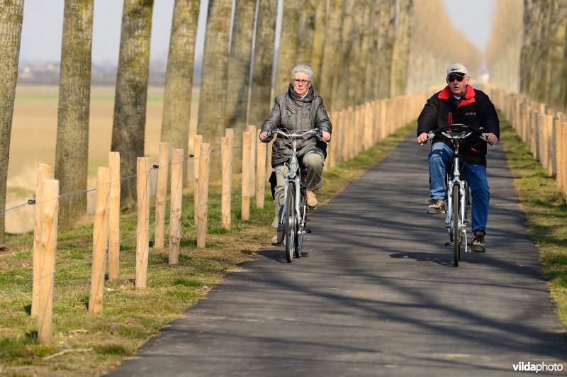 Fietsen op de Koningsdijk