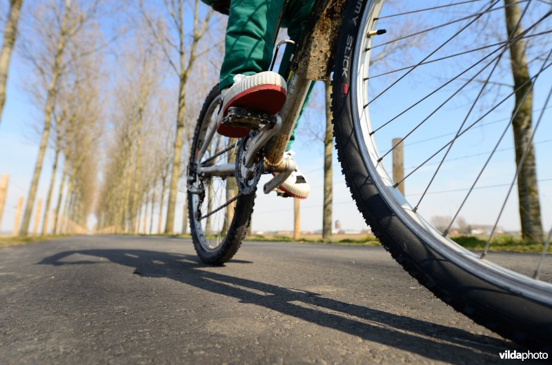 Fietsen op de Koningsdijk