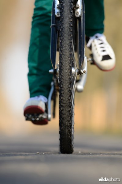 Fietsen op de Koningsdijk