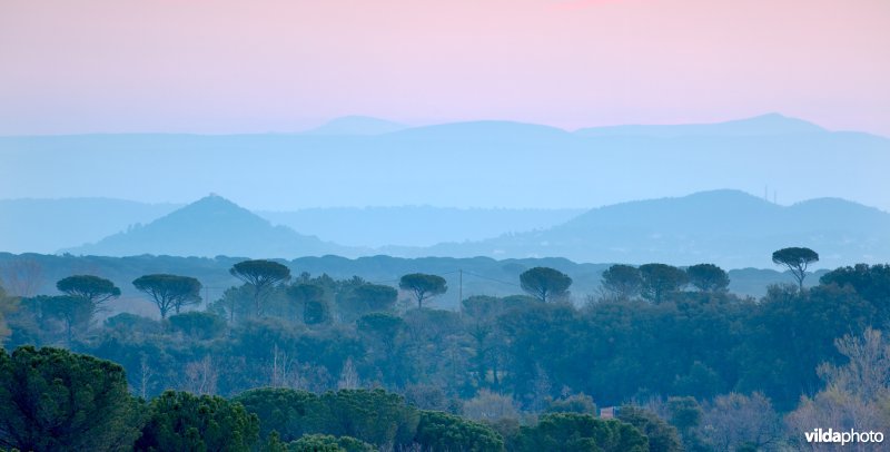 Zonsopgang in de Provence