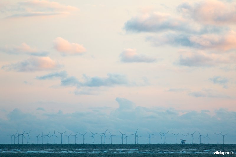 Windturbines op zee