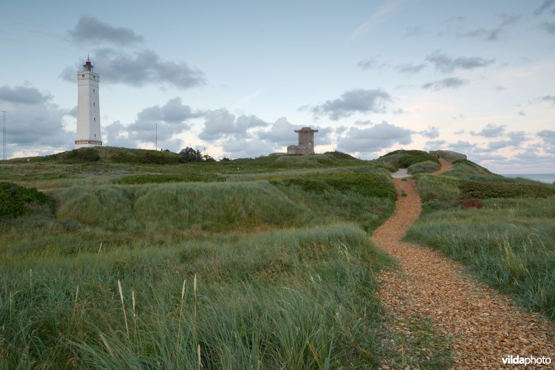 Vuurtoren in de duinen