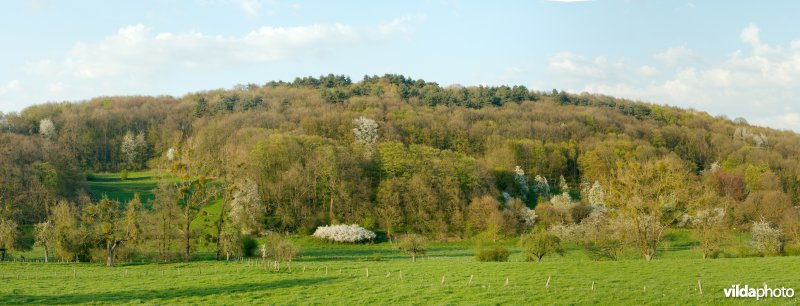 Schoppemerheide
