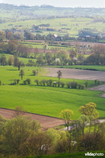 Zicht over Val de Dieu