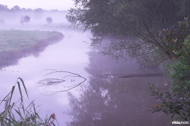 Oude Leie in de Assels