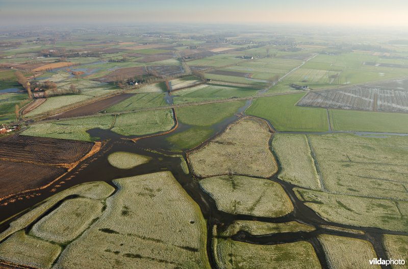 Polders rond Damme