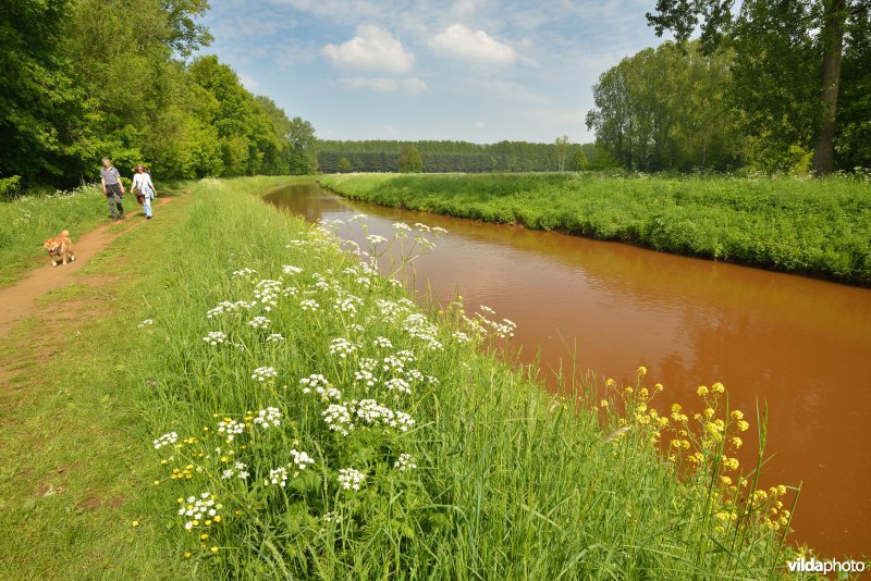 Wandelen langs de Grote Nete