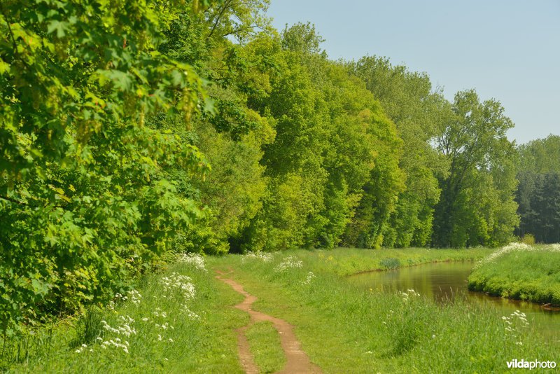 Grote Nete