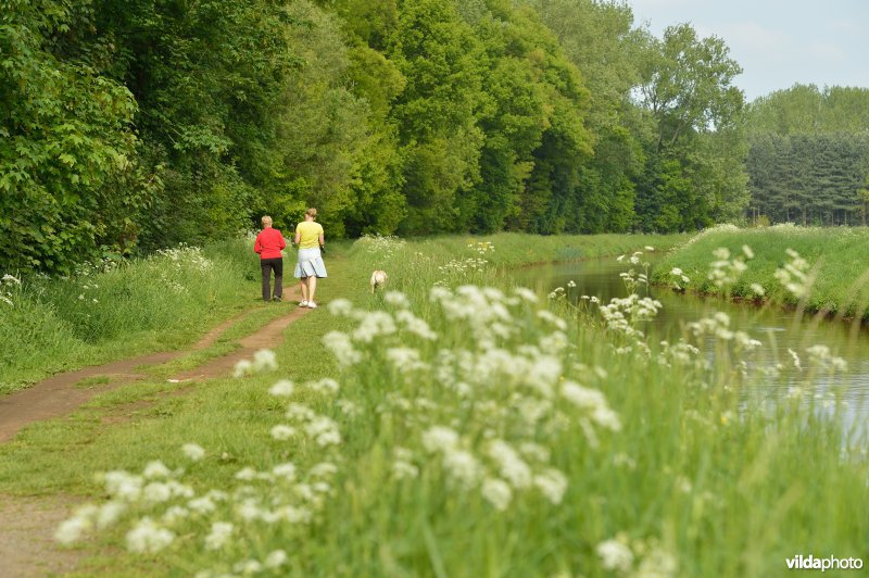 Wandelen langs de Grote Nete