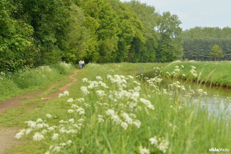 Fietsen langs de Grote Nete