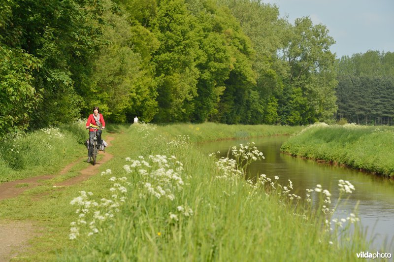 Wandelen langs de Grote Nete