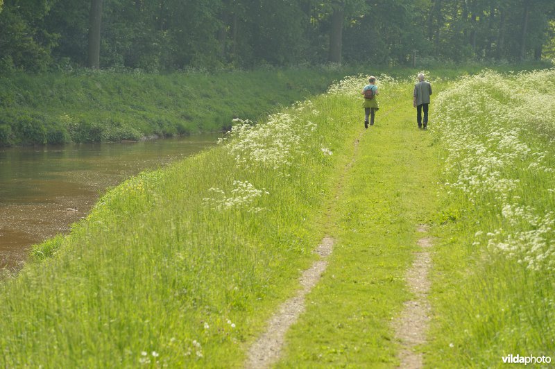 Wandelen langs de Grote Nete