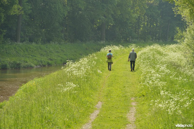 Wandelen langs de Grote Nete