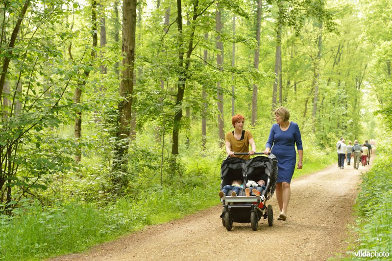 Wandelen in de Herenbossen