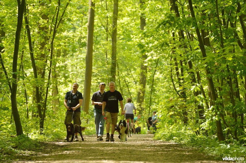Wandelen in de Herenbossen