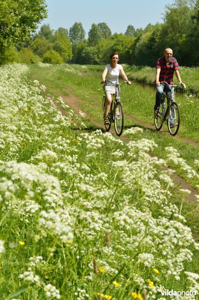 Fietsen langs de Grote Nete