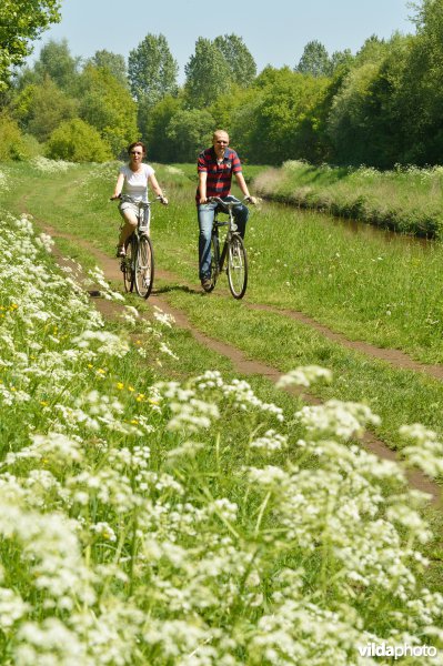 Fietsen langs de Grote Nete