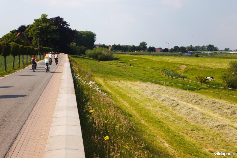 Bloemrijk grasland in de maasvallei