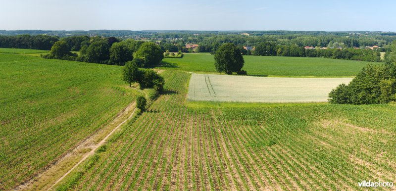 Gevarieerd landbouwlandschap