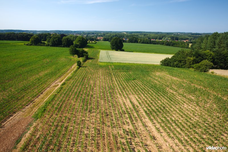 Gevarieerd landbouwlandschap