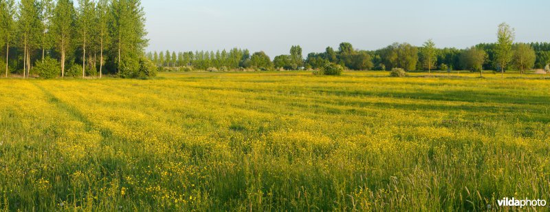 Hooilanden met grachtjes