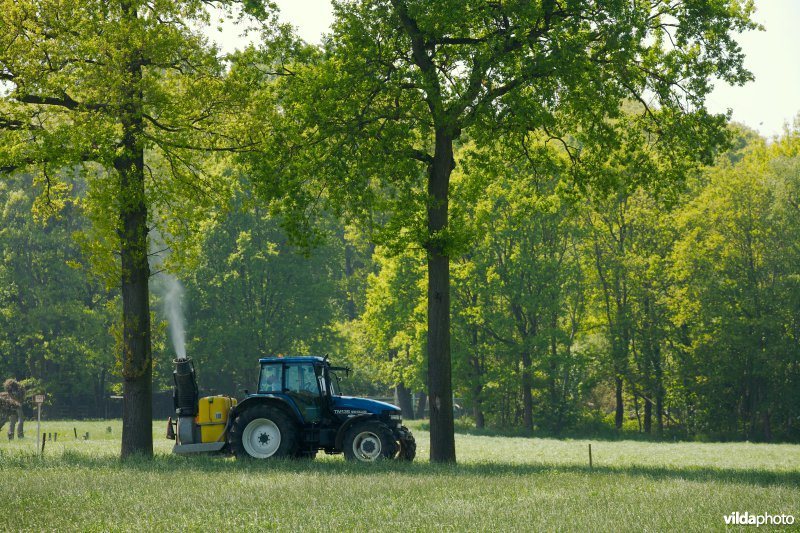 Pesticiden spuiten tegen de eikenprocessierups