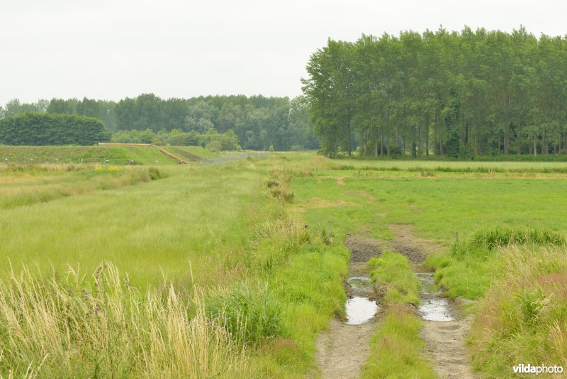 Groot Broek
