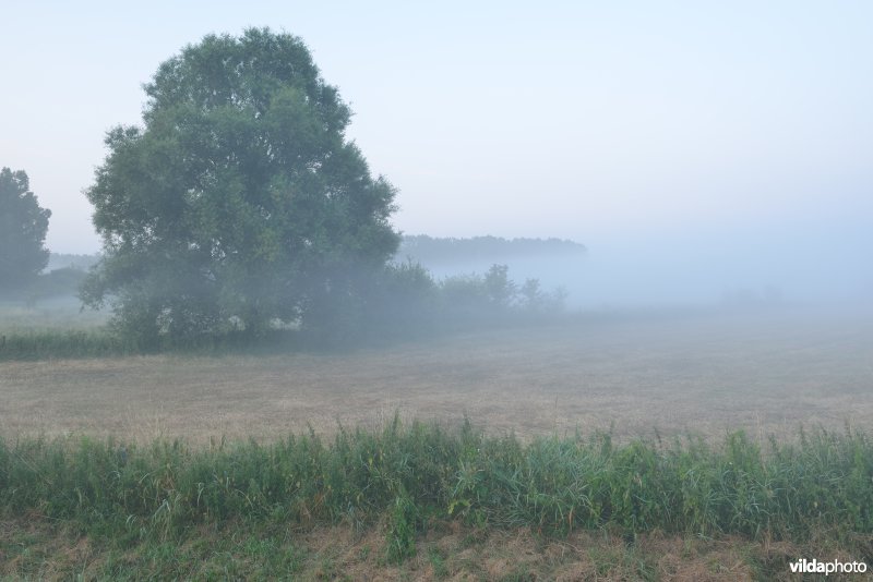 Grote Nete