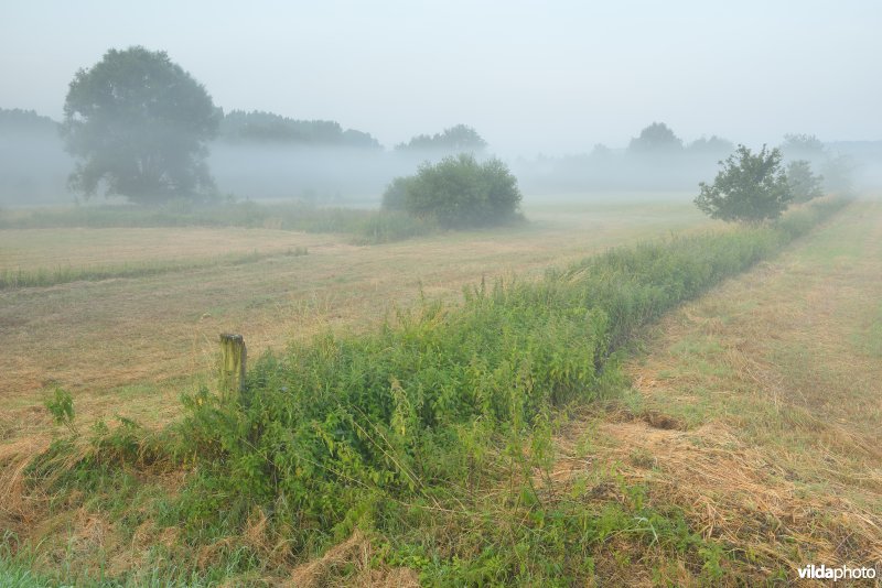 Vallei van de Grote Nete