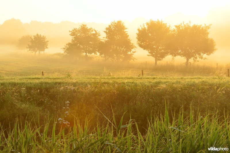 Vallei van de Grote Nete