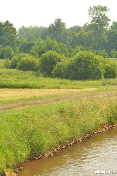 Vallei Zammelsbroek