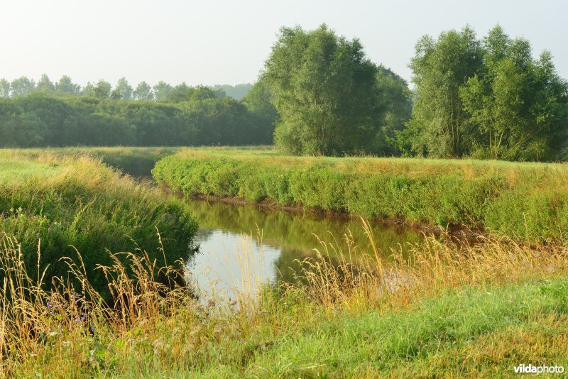 Grote Nete