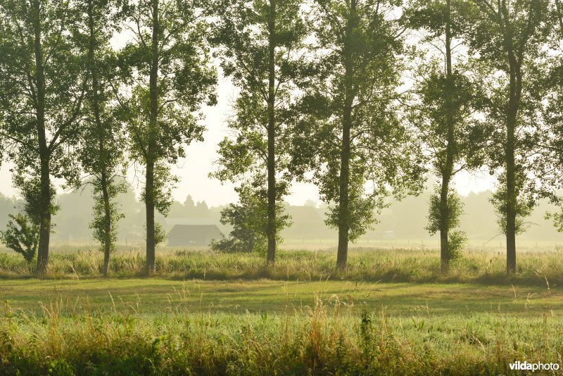Vallei van de Grote Nete