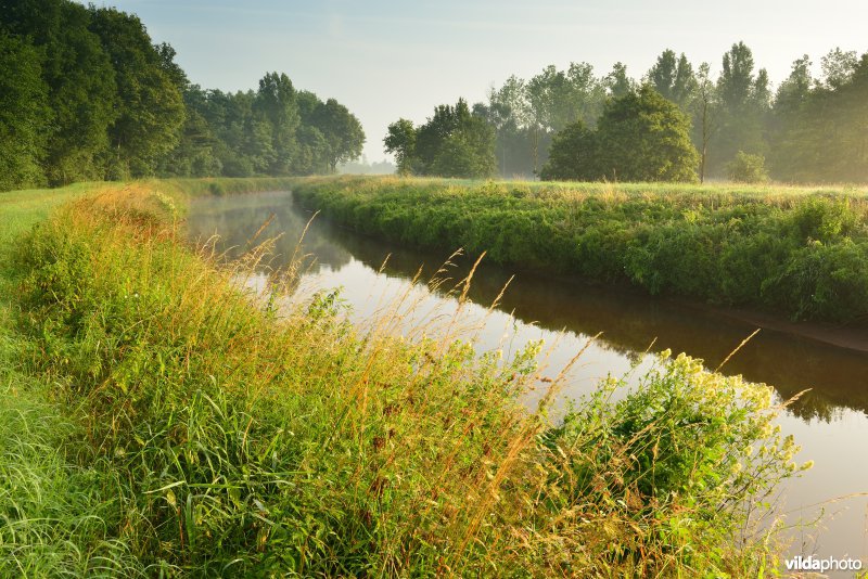 Grote Nete