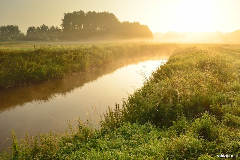 Grote Nete