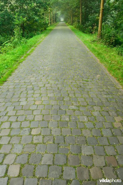 Schellandpolder