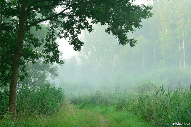 Schellandpolder