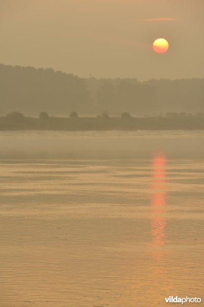Schelde