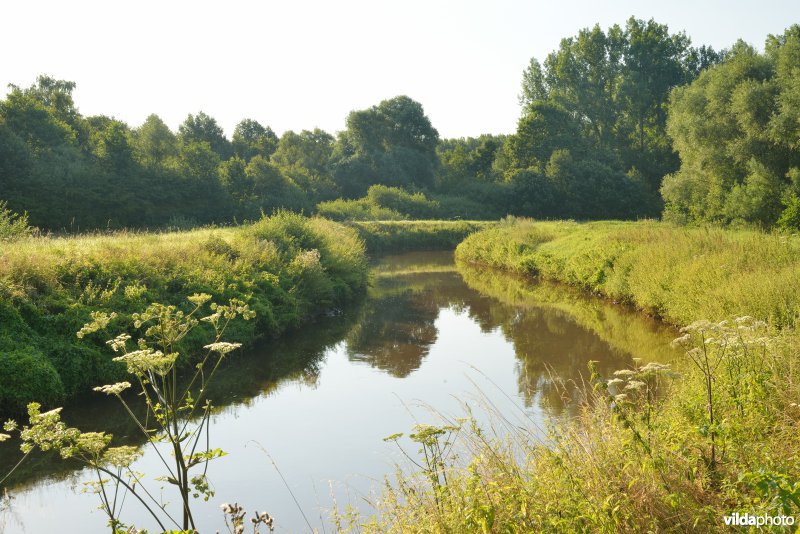 Grote Nete