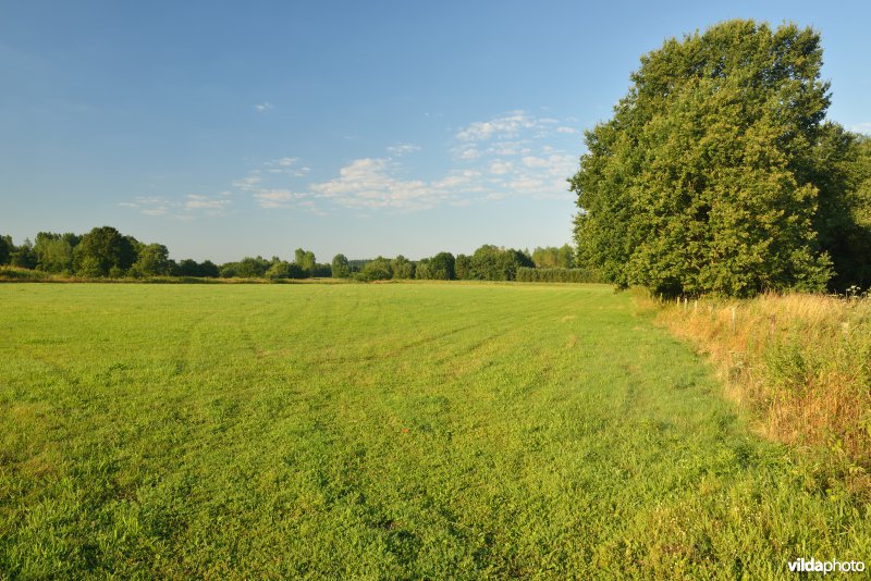 Vallei van de Grote Nete