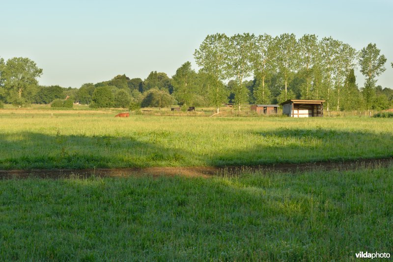 Vallei van de Grote Nete