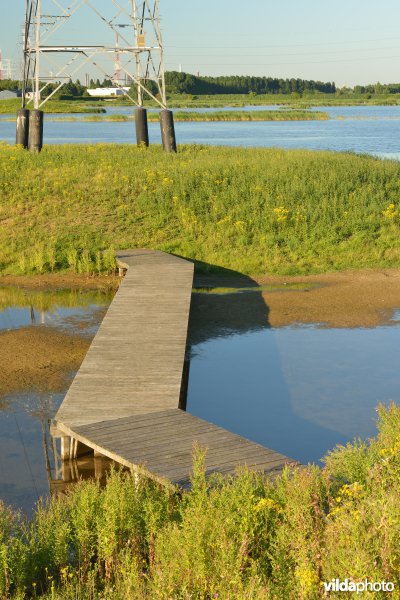 Rietveld Kallo