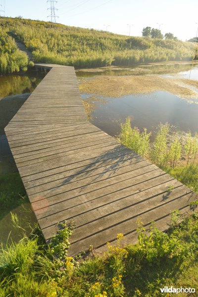 Rietveld Kallo