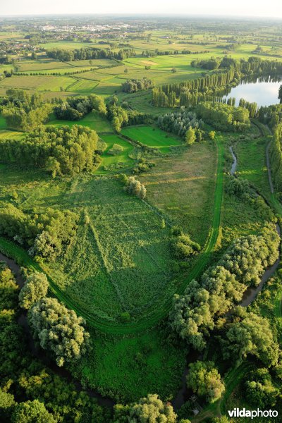 Bulbierbroek