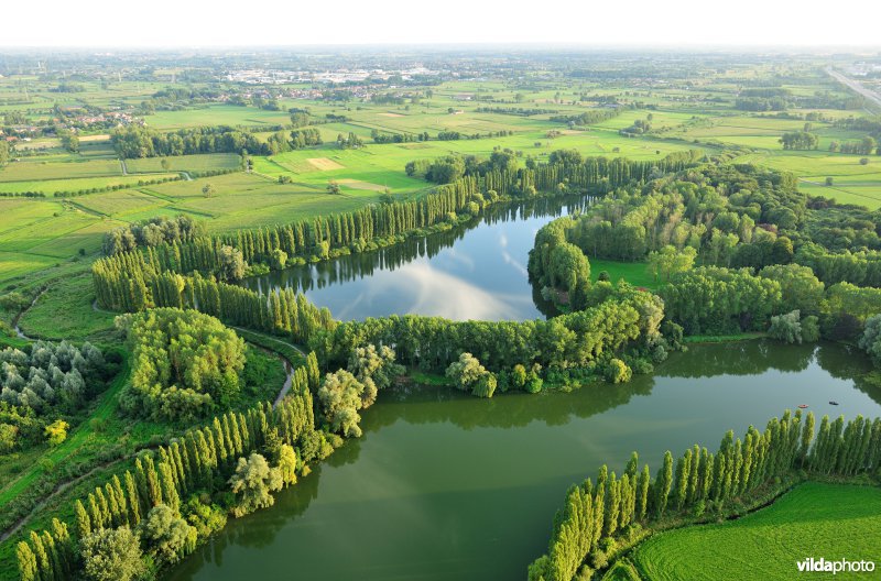 Hof te Rijen