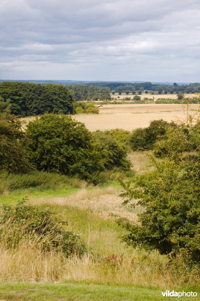 Gevarieerd landbouwlandschap